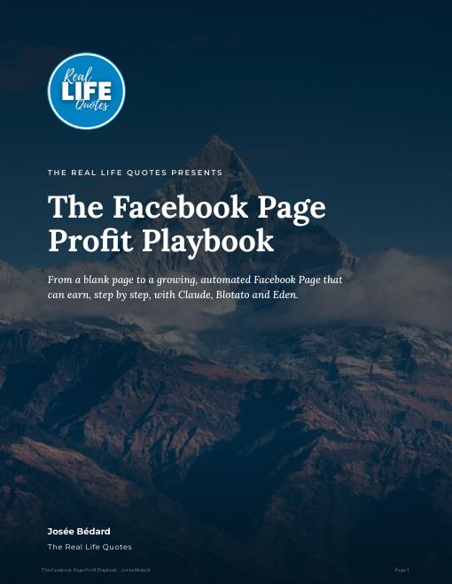 The Facebook Page Profit Playbook cover